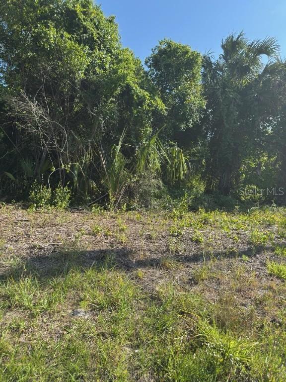 431 Birch Blvd., Georgetown, FL 32139