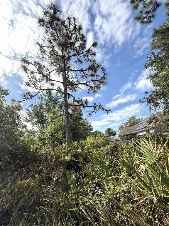 Maricopa Dr., Kissimmee, FL 34758