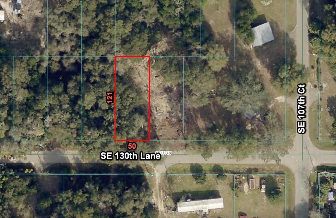 10691 SE 130 Ln., Ocklawaha, FL 32179