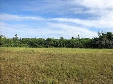 339 NE 19th Ter., Cape Coral, FL 33909