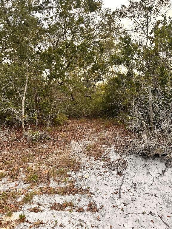 Purcell (paper) St., Deltona, FL 32739