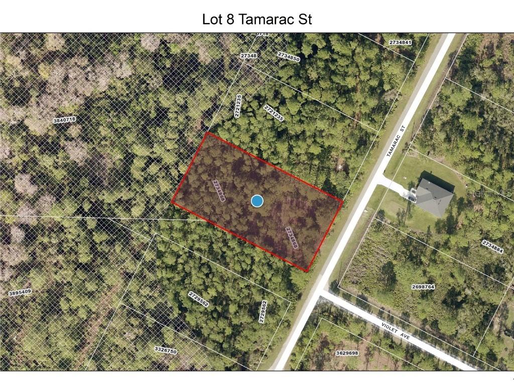 LOT 8 Tamarac St., Eustis, FL 32736