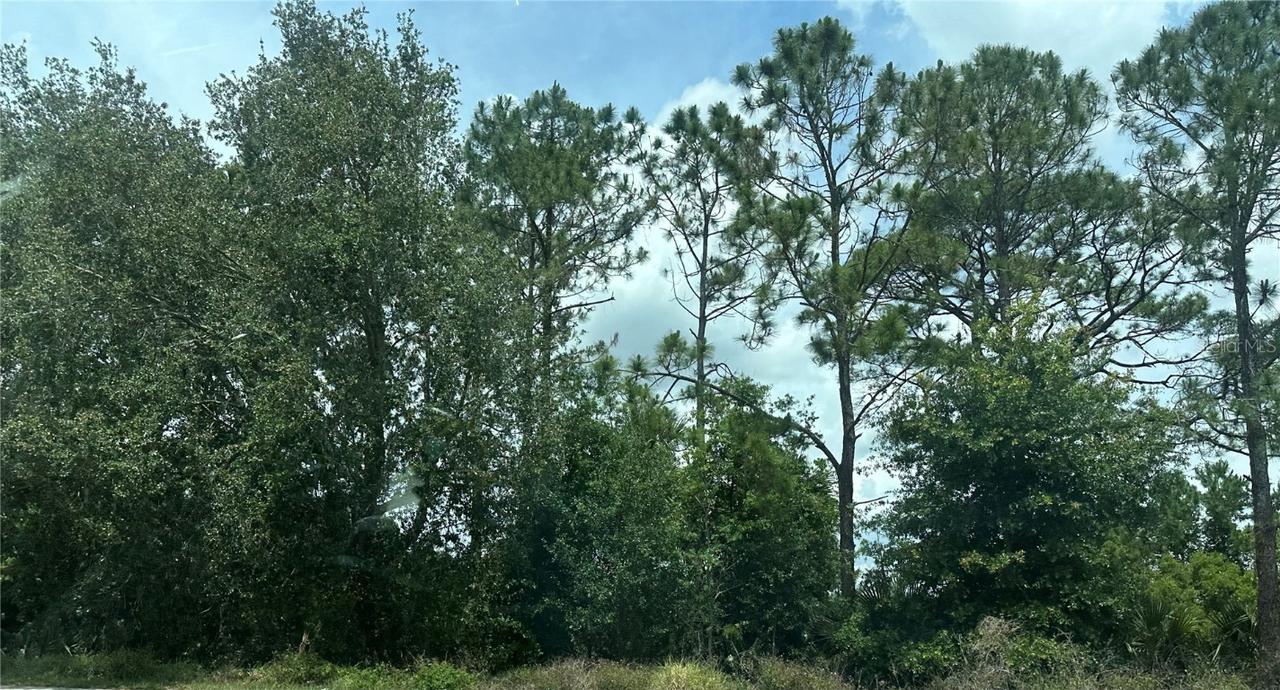 Sr-535, Orlando, FL 32821