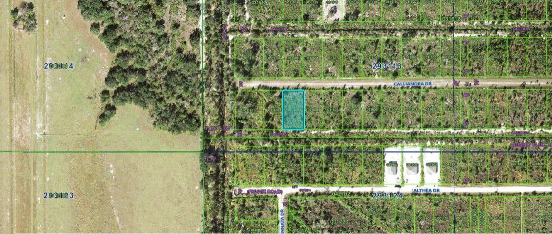 Calliandra Dr., Indian Lake Estates, FL 33855