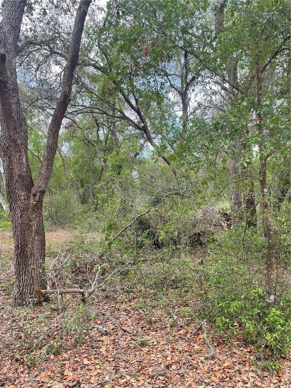 Juniper St., Lady Lake, FL 32159