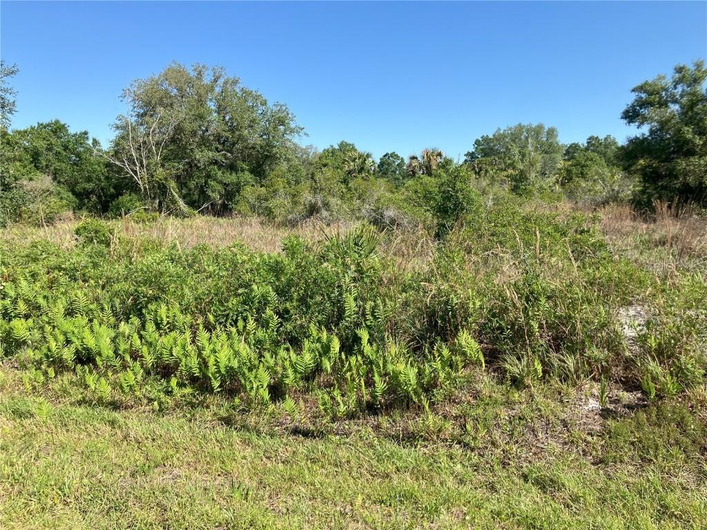 17763 NW 278 St., Okeechobee, FL 34972