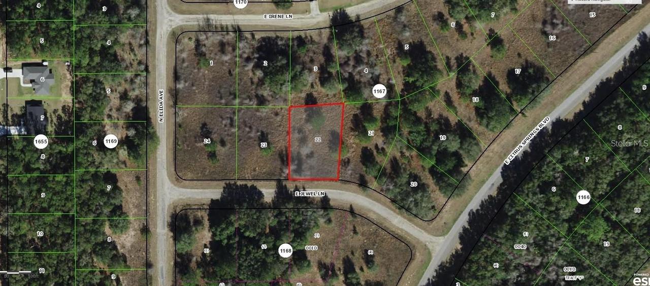 599 E Jewel Ln., Dunnellon, FL 34434