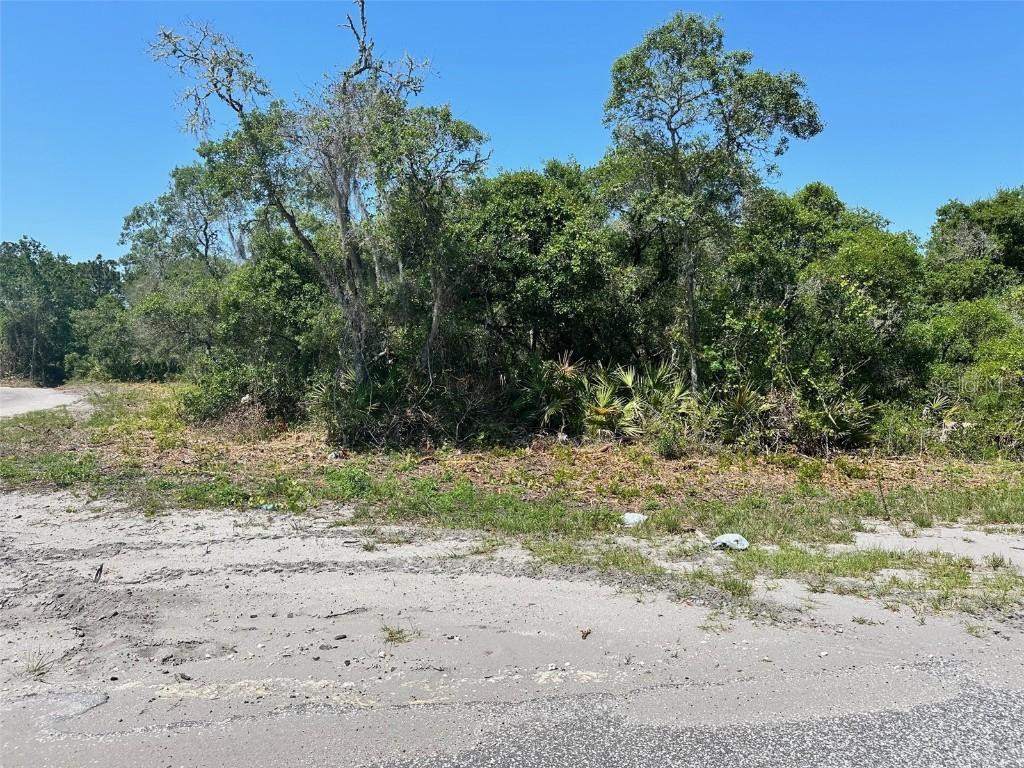 TBD Fisher Way, Ocklawaha, FL 32179