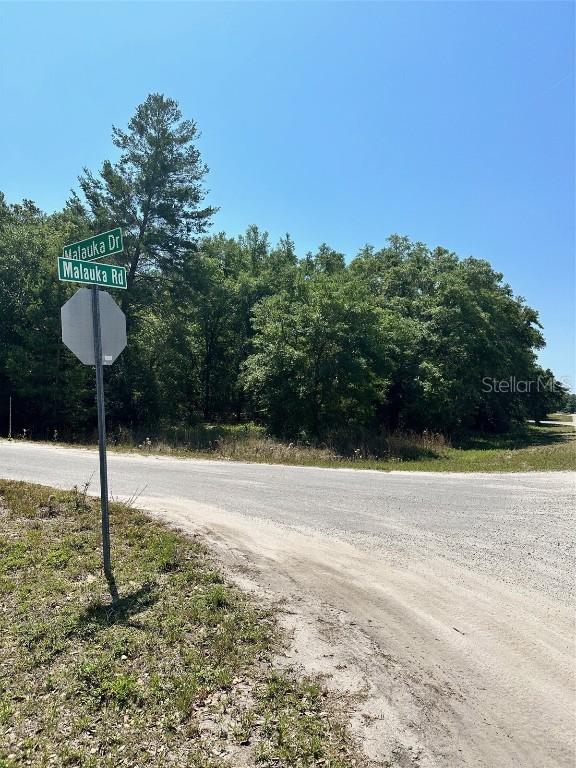 TBD Malauka Rd., Ocklawaha, FL 32179