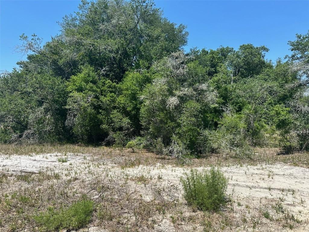 TBD Orange Rd., Ocklawaha, FL 32179