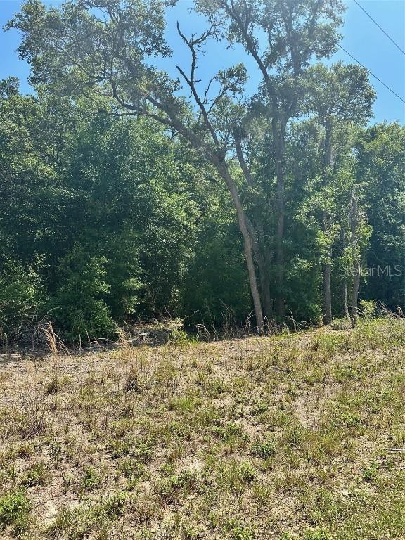 TBD Fisher Lane Ct., Ocklawaha, FL 32179