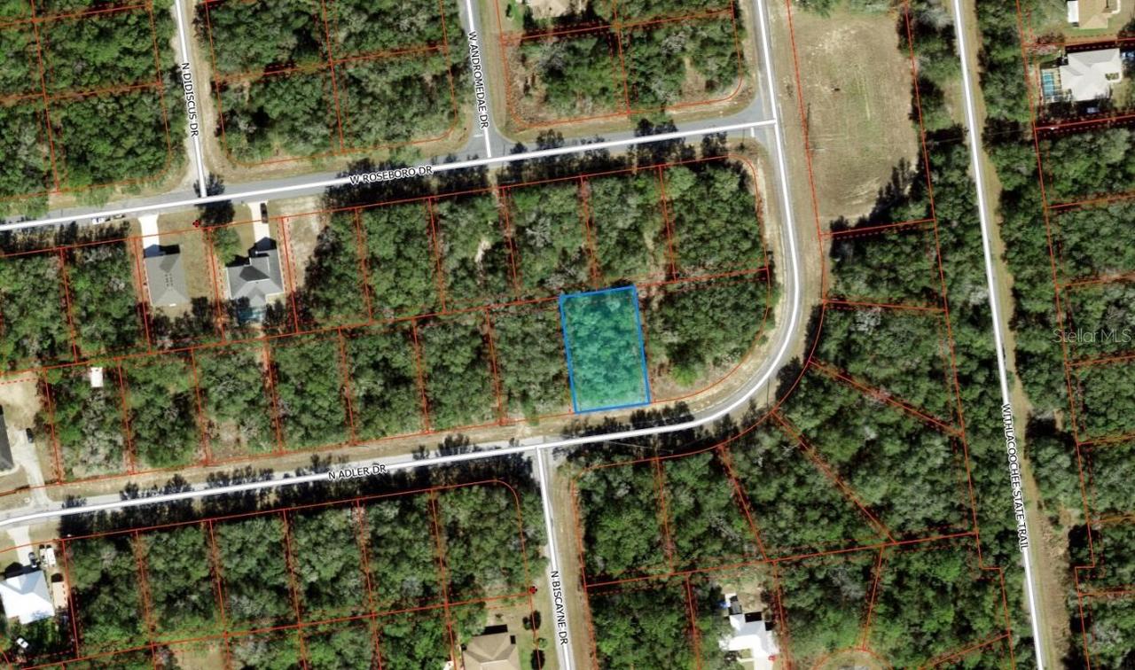 10574 N Adler Dr., Citrus Springs, FL 34434