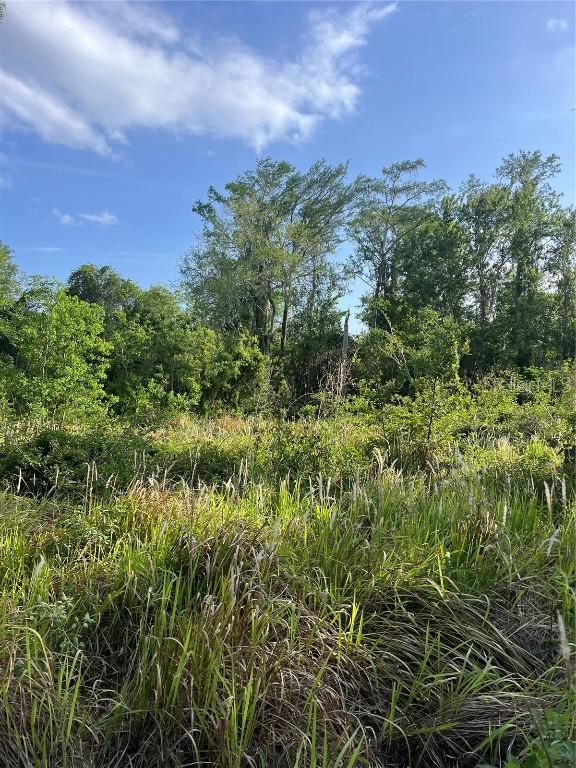 Harvest Ln., Kissimmee, FL 34744