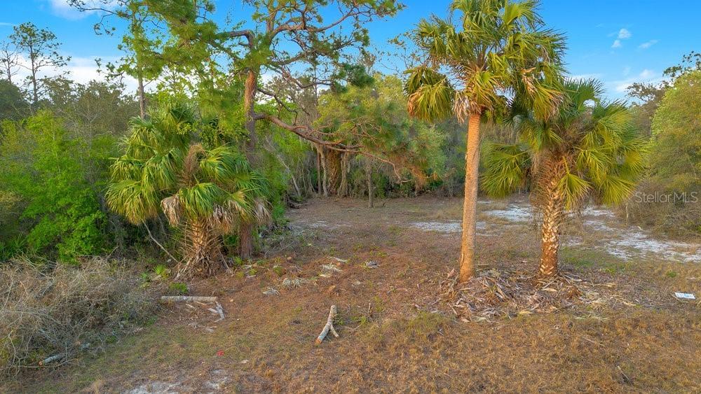 1411 Sarasota Ct., Poinciana, FL 34759
