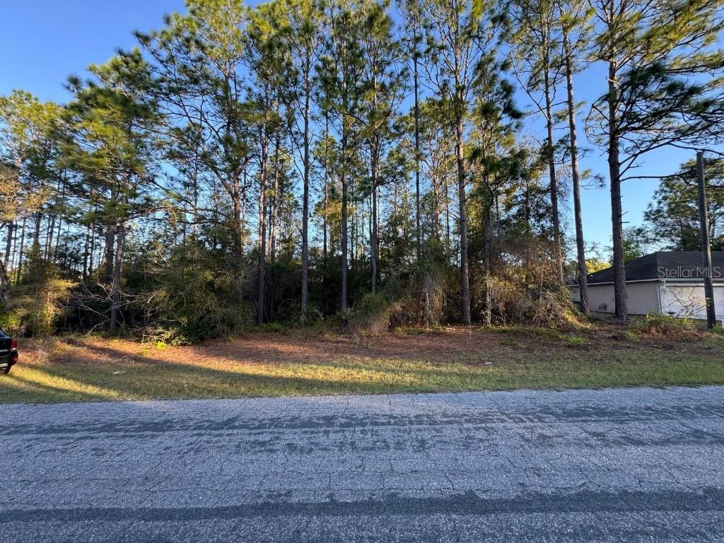 7974 N Sarazen Dr., Citrus Springs, FL 34434