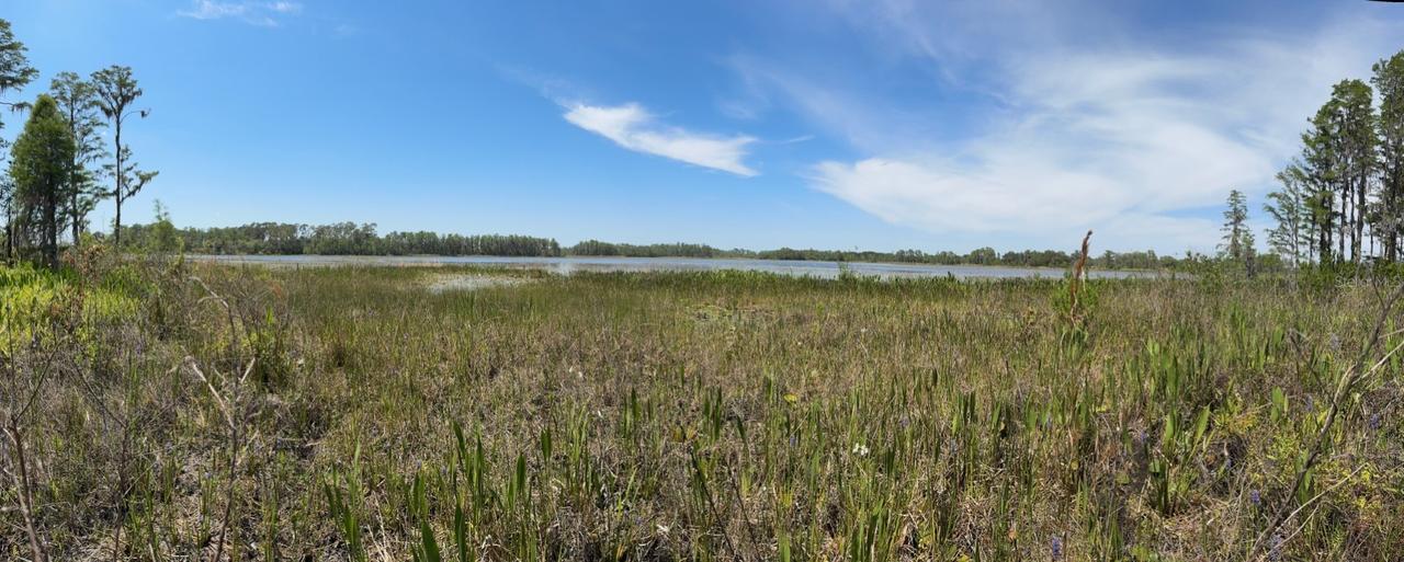 8335 Florida Boys Ranch Rd., Groveland, FL 34736
