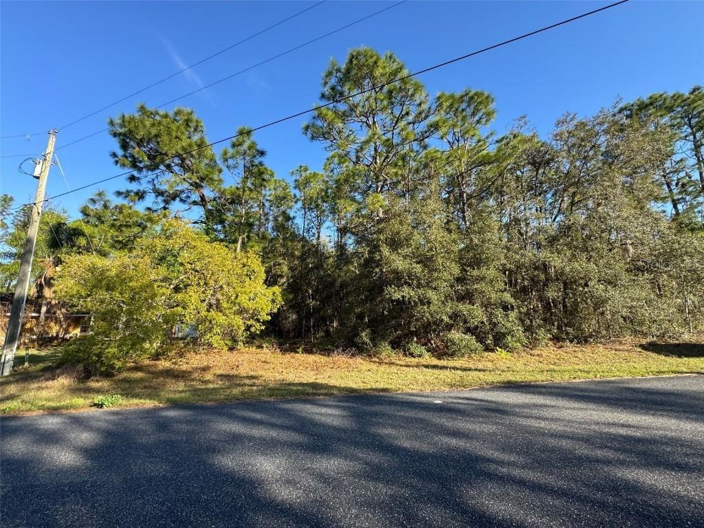 7896 N Triana Dr., Citrus Springs, FL 34434