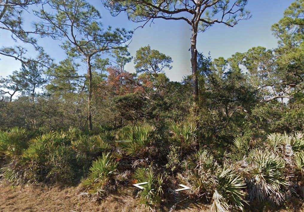 3249 Glen Springs Ave., Lake Placid, FL 33852
