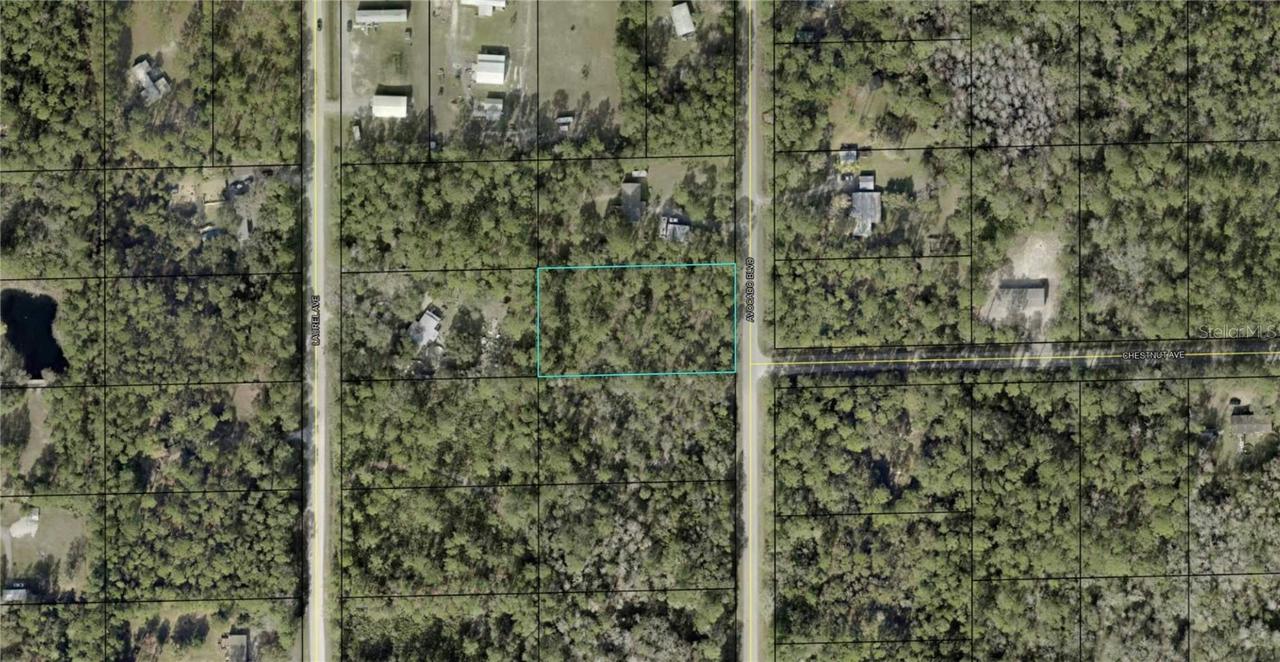 1590 Avocado Blvd., Bunnell, FL 32110