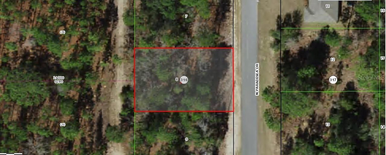 9120 N Paradisea Dr., Citrus Springs, FL 34433
