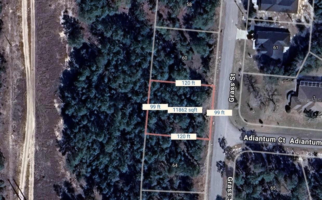62 Grass St., Homosassa, FL 34446