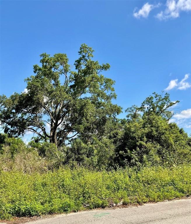 [Address Hidden by Seller], New Smyrna Beach, FL 32168