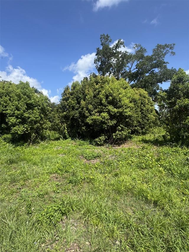 Paige Ave., New Smyrna Beach, FL 32168