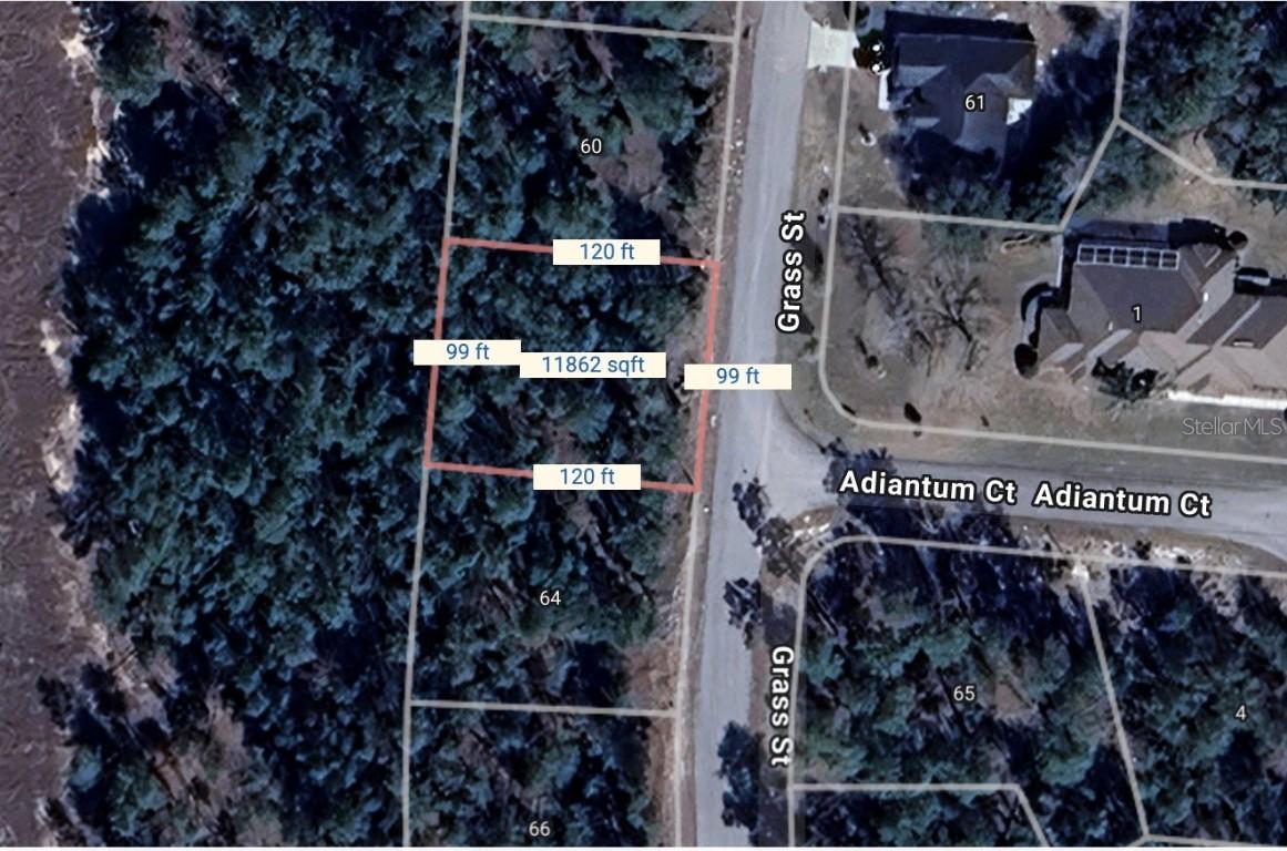 64 Grass St., Homosassa, FL 34446