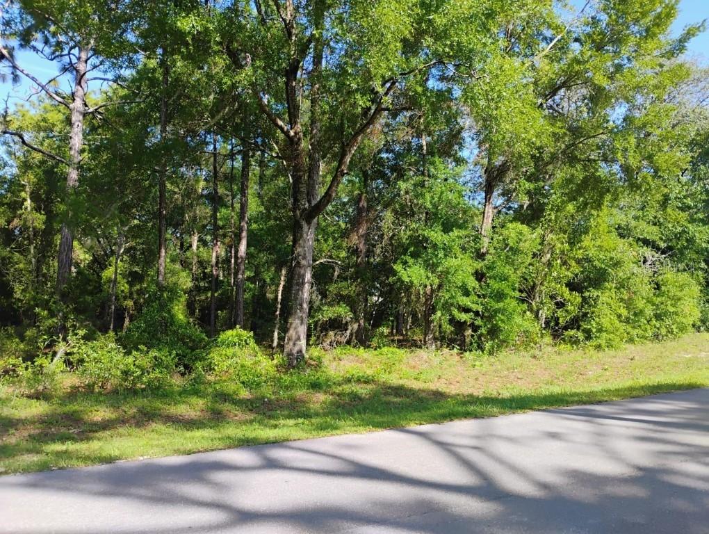 Nort East 155th Ct., Williston, FL 32696
