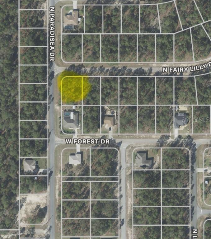 9309 N Fairy Lilly Dr., Citrus Springs, FL 34433
