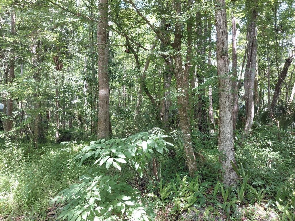 24028 Bass Rd., Astor, FL 32102