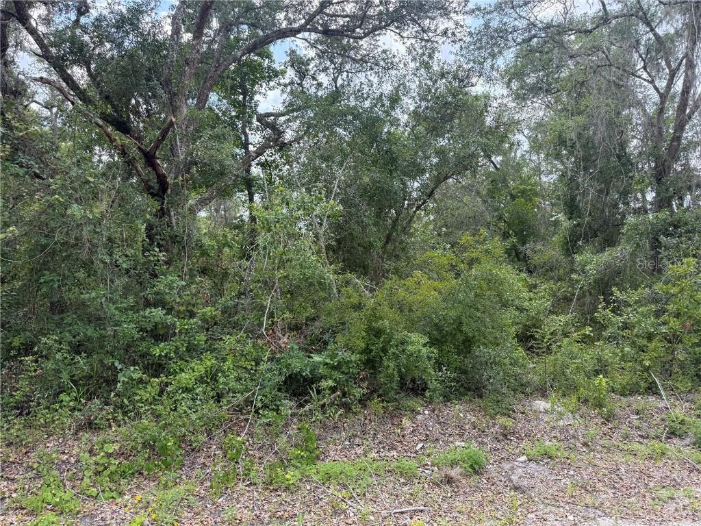 7419 Southeast Ave., Webster, FL 33597
