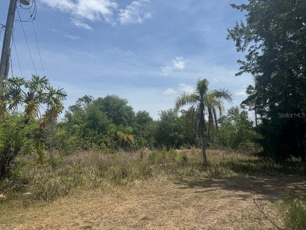 2225 N 6th St., Orlando, FL 32820