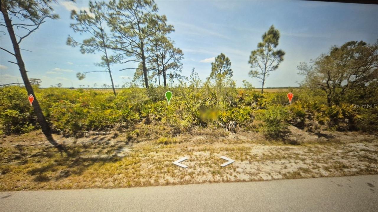 373 Christine St., Lake Placid, FL 33852