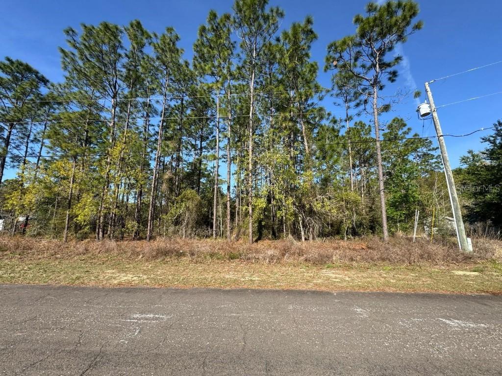 7004 N Lockwood Way, Citrus Springs, FL 34434