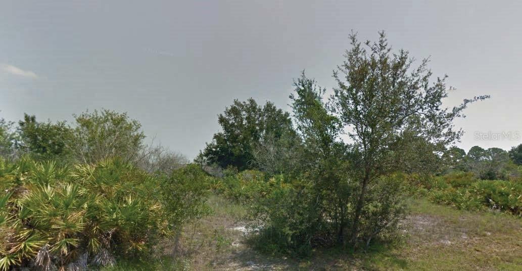 113 Edenwald Ave., Lake Placid, FL 33852