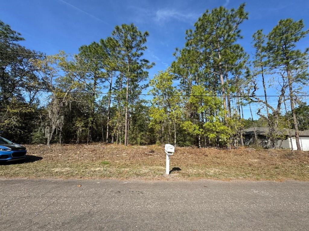 6948 N Lockwood Way, Citrus Springs, FL 34434