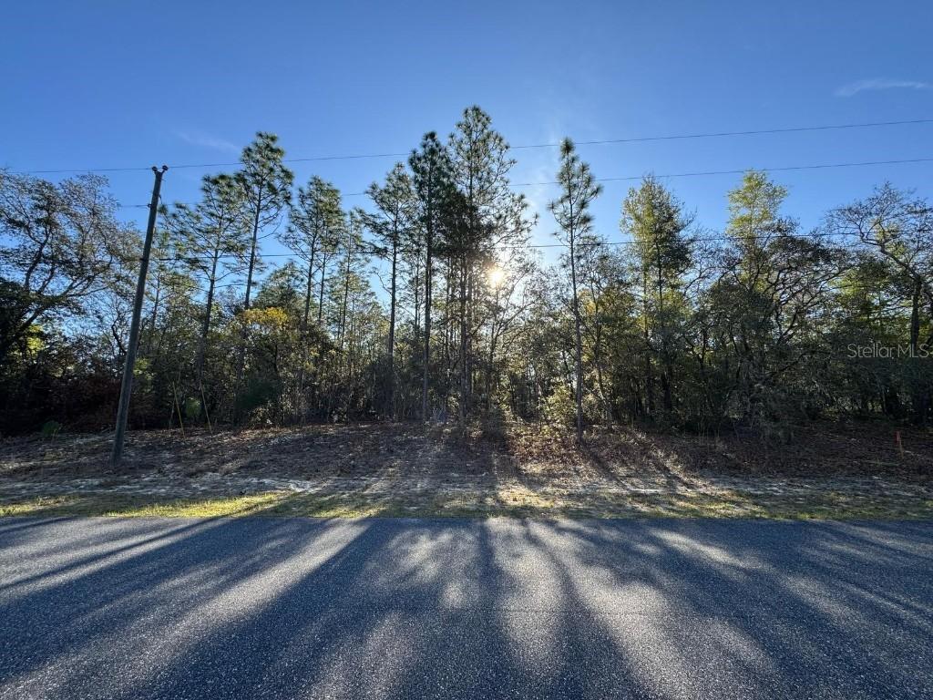 8161 N Triana Dr., Citrus Springs, FL 34434