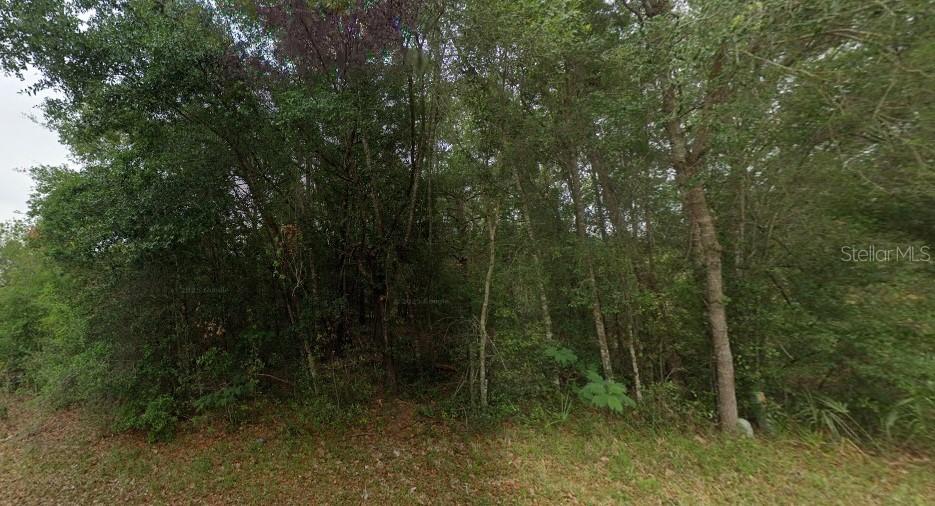 8681 N Catapane Loop, Crystal River, FL 34428