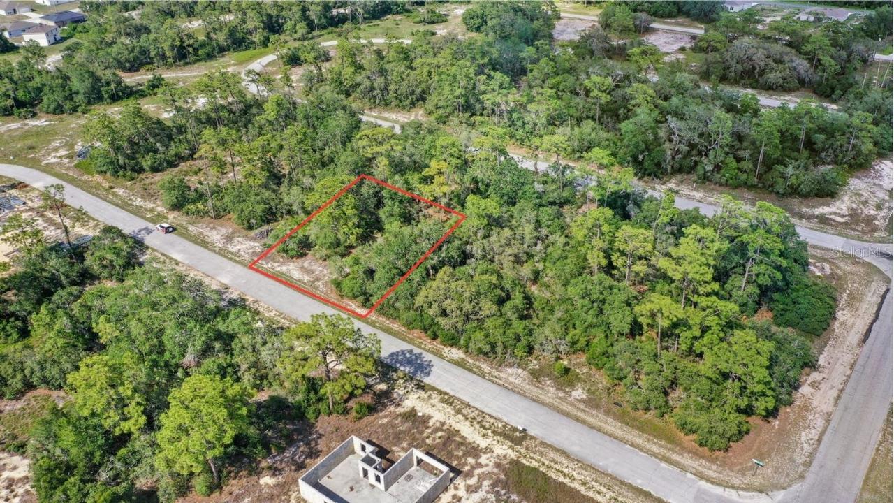 1309 Homosassa Ct., Kissimmee, FL 34759