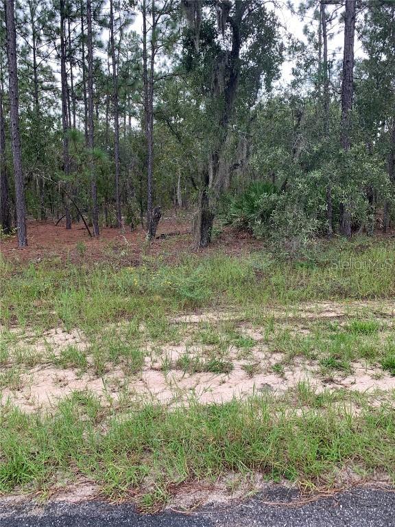 2796 W Xenox Dr., Citrus Springs, FL 34433