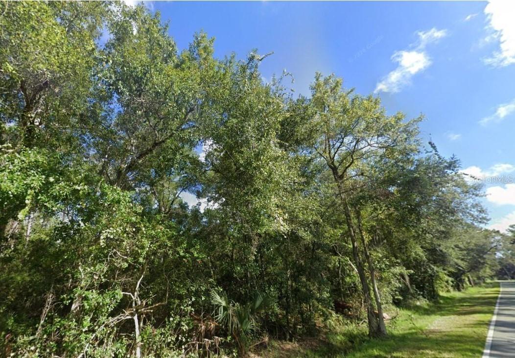 000 Old Kissimmee Rd., Davenport, FL 33896