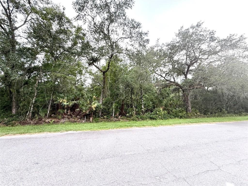 Sarmundham St., Orlando, FL 32833