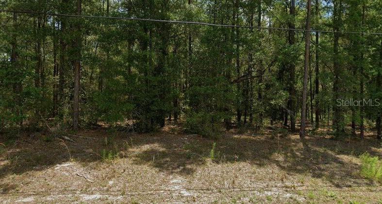 [Address Hidden by Seller], Dunnellon, FL 34434