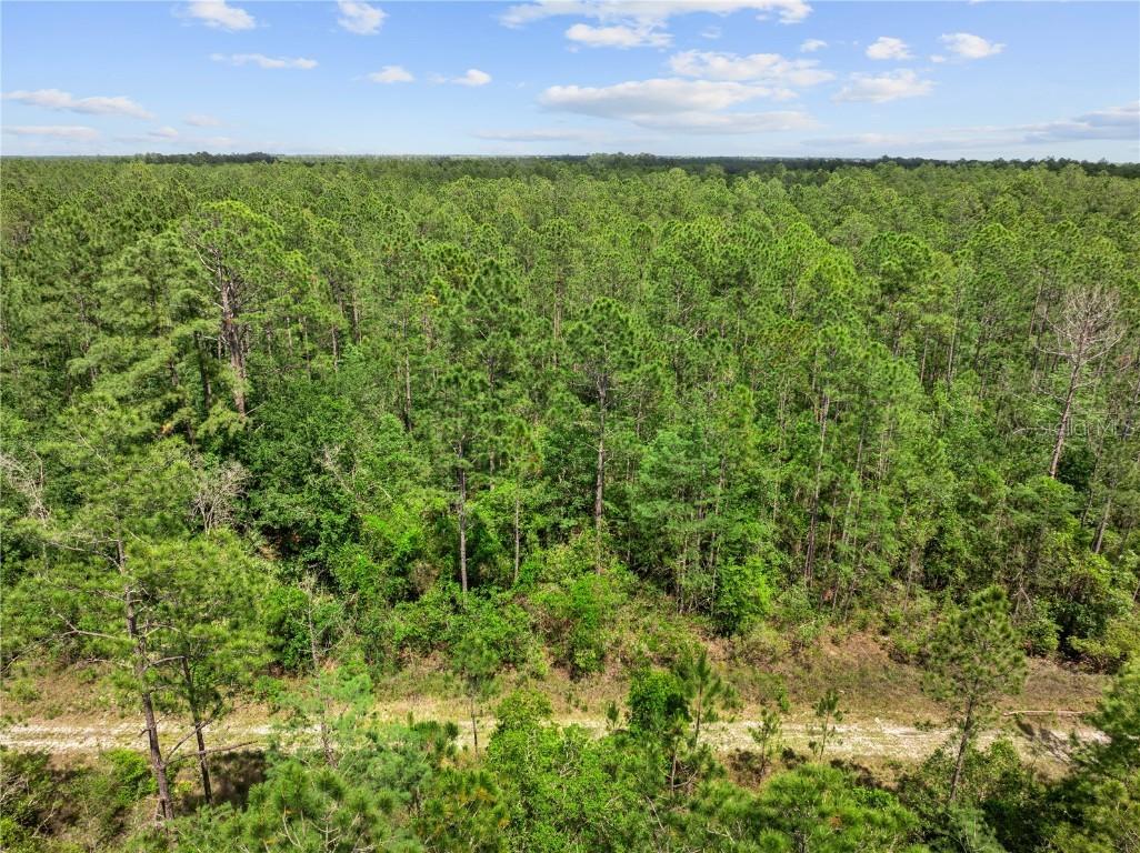 Crotty Avenue, Hastings, FL 32145