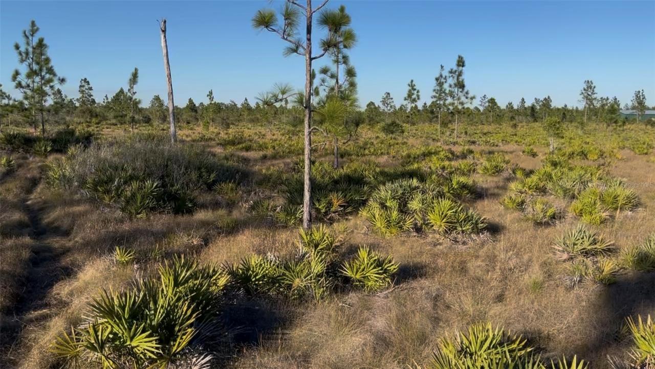 Holopaw Groves Rd., Harmony, FL 34773