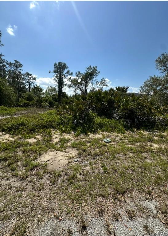 1327 St Augustine Dr., Kissimmee, FL 34759