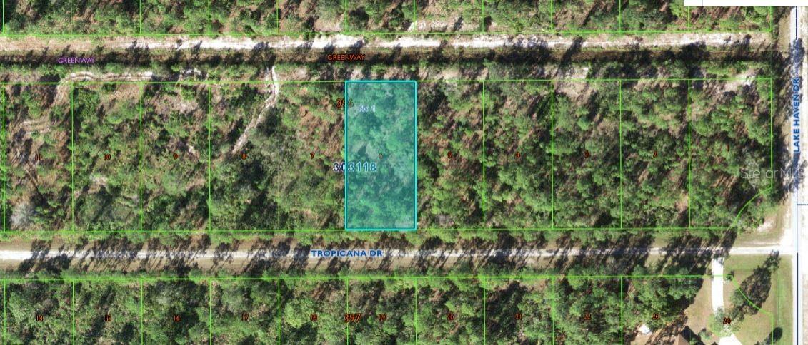 612 Tropicana Dr., Indian Lake Estates, FL 33855
