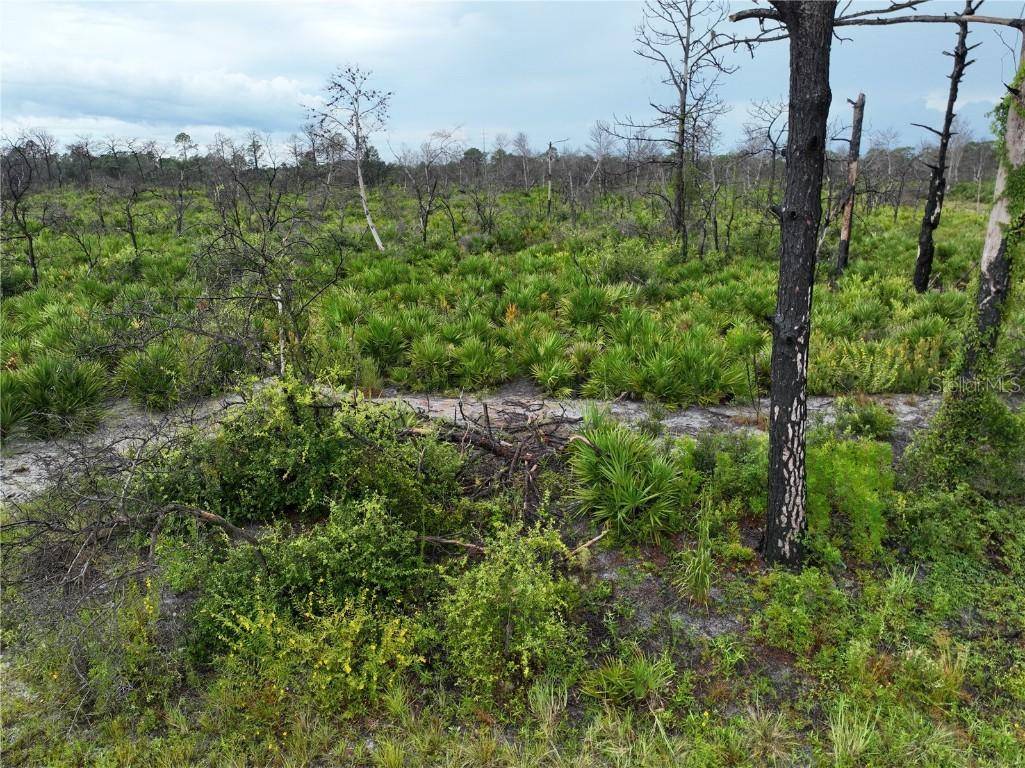 3520 Mariana Ave., Lake Placid, FL 33852