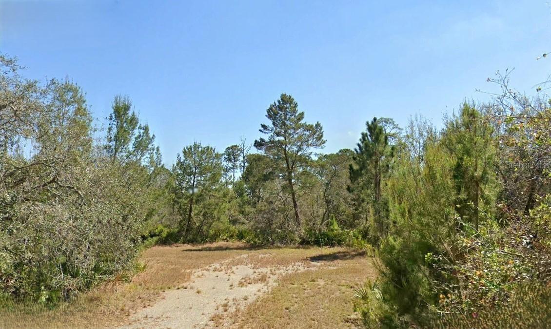 3206 Curlew Rd., Lake Placid, FL 33852